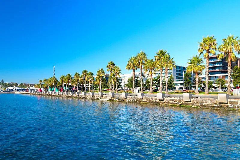 Geelong foreshore with palm trees