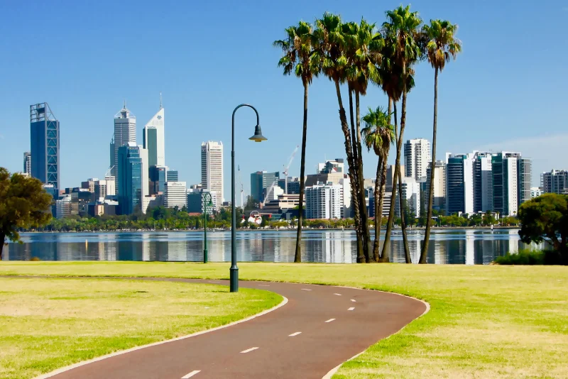 view of the city skyline, river and palm trees from south perth