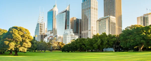 Sydney skyline with park in foreground