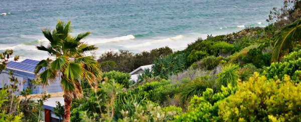 Sunshine Coast, view of coast and coastal vegetation